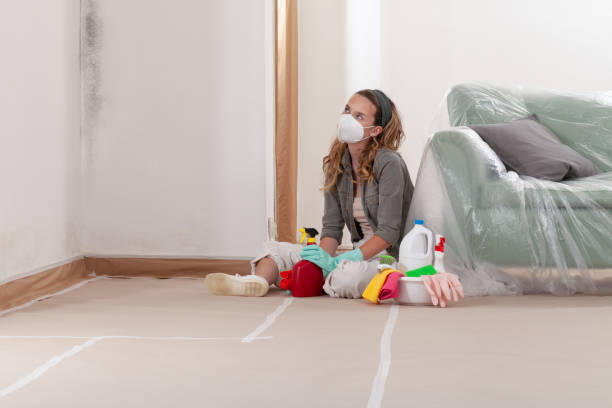 Reliable Mold Removal contractor in Richardson, TX by WQB Mold Removal